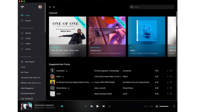 New Tidal application for PC